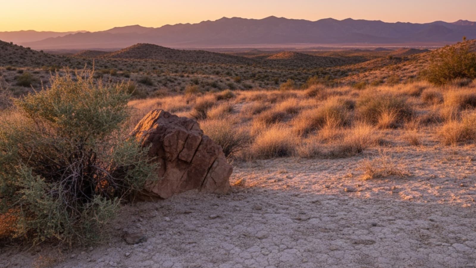 How to Build a Custom Home in Las Vegas: The Ultimate 2026 Guide
